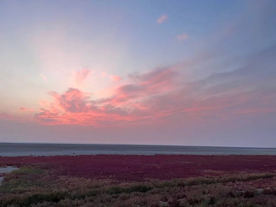 Pink Clouds ☁️🩷